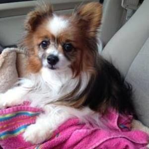 Meet your Posher, Deborah